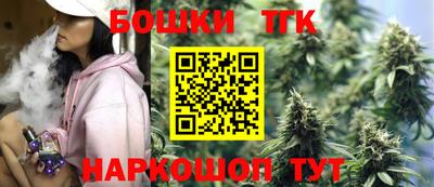 индика Кунгур