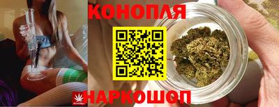 индика Кунгур