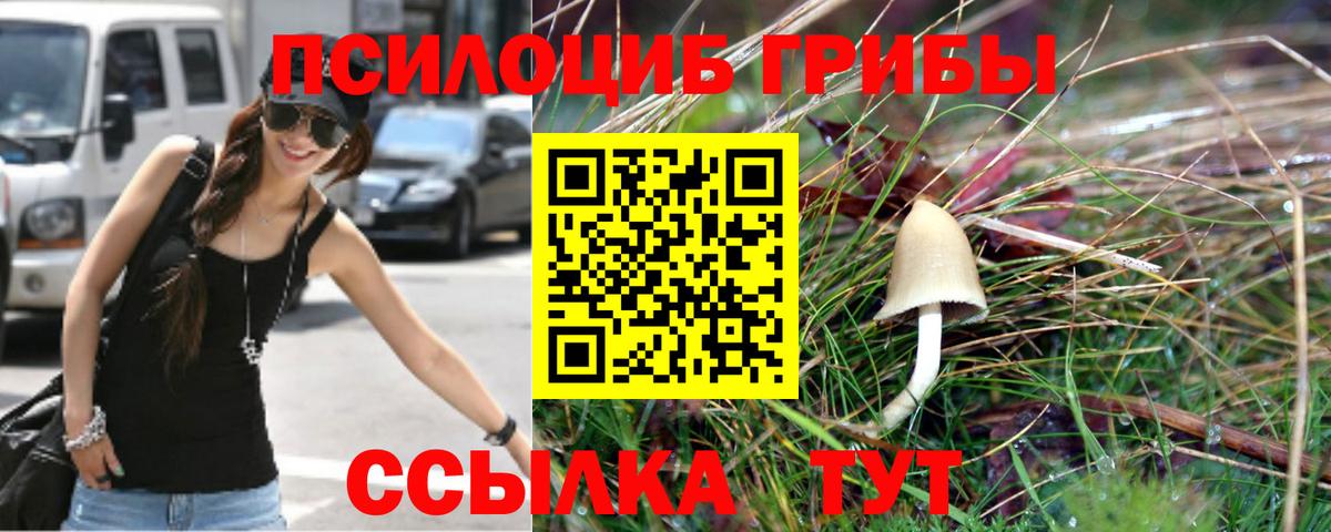 Галлюциногенные грибы Cubensis Камышлов