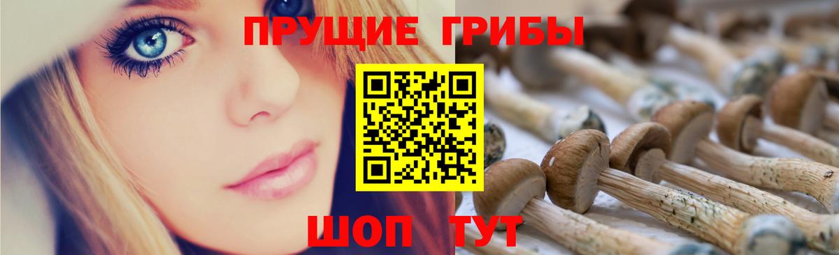 Камышлов  Псилоцибиновые грибы GOLDEN TEACHER  Вход с VPN 